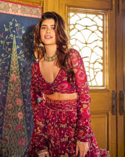 Celebrity Photos of Sanjana Sanghi