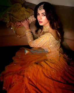 Celebrity Photos of Sonal Chauhan