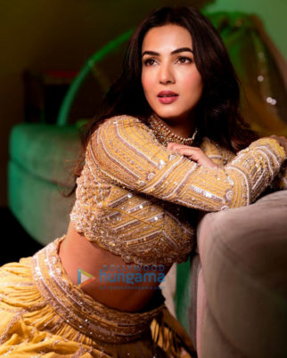 Celebrity Photos of Sonal Chauhan