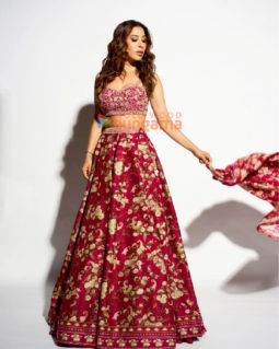Celeb Photos Of Sophie Choudry