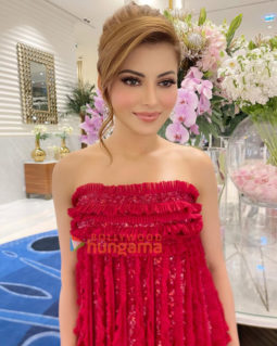 Celebrity Photos of Urvashi Rautela