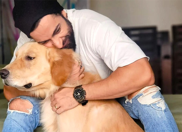 Bigg Boss 16: Shalin Bhanot recalls the dark phase of his life during Corona pandemic; confesses, 'If it wasn't for my adopted dog, I wouldn't be alive'