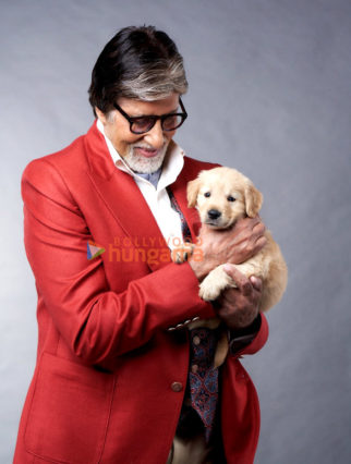 Celeb Photos Of Amitabh Bachchan