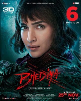 First Look Of Bhediya