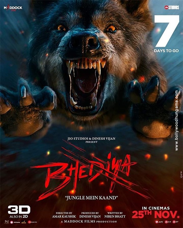 bhediya 24