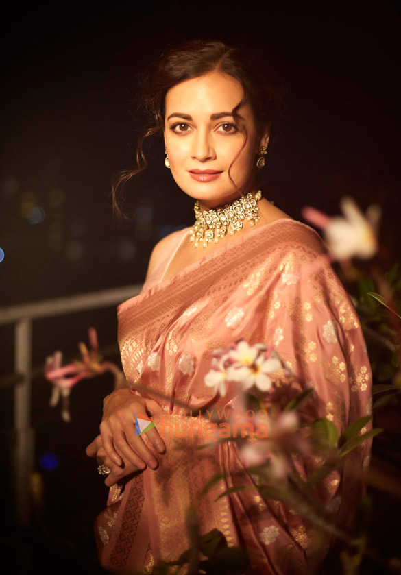 dia mirza 2 36