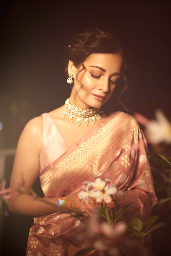 dia mirza 3 31