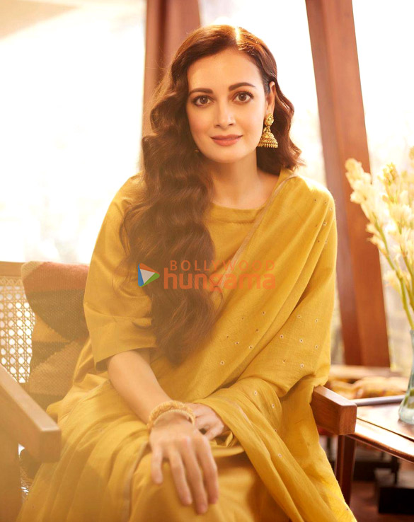 dia mirza 8 2
