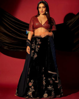 Celebrity Photos of Neha Sharma