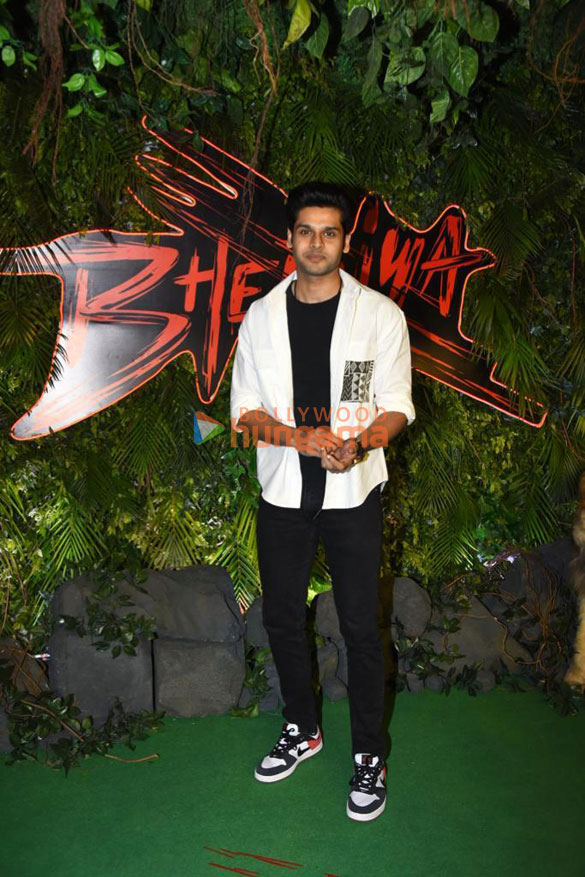 photos celebs attend the premiere of bhediya 11