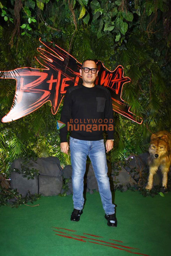 photos celebs attend the premiere of bhediya 12