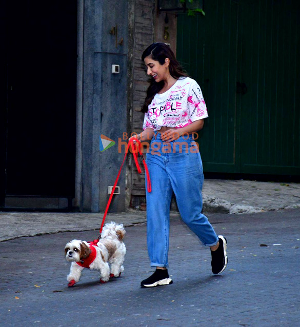 photos sophie choudry spotted with her pet in bandra 4