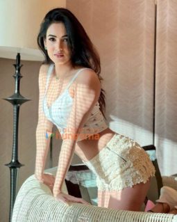 Celebrity Photos of Sonal Chauhan