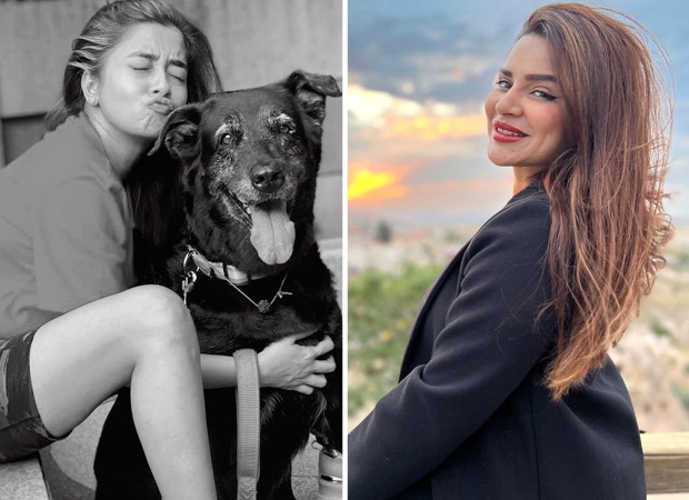Bigg Boss 16: Tina Datta receives support from television celebs; former contestant Aashka Goradia pens a heartfelt note