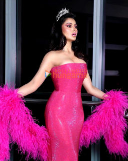 Celebrity Photos of Urvashi Rautela