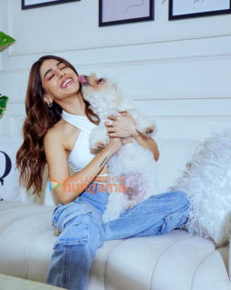 Celebrity Photos Of Alaya F