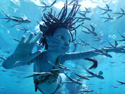 Avatar Box Office: Film is mind-blowing on Monday