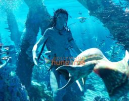 Movie Stills Of The Movie Avatar: The Way of Water (English)