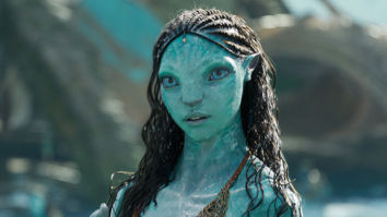 Avatar 2 Box Office: Film collects Rs. 41 cr on Day 1; emerges as second highest all-time Hollywood opening day grosser