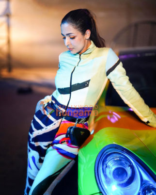Celebrity Photos of Malaika Arora