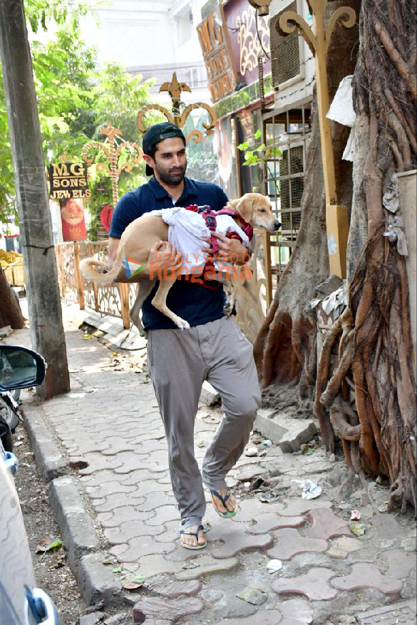 photos aditya roy kapur spotted at pet clinic in khar 2