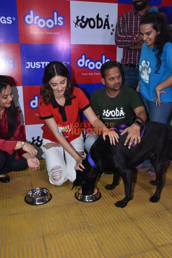 photos ananya pandey snapped at drools indias food donation drive at yoda 1