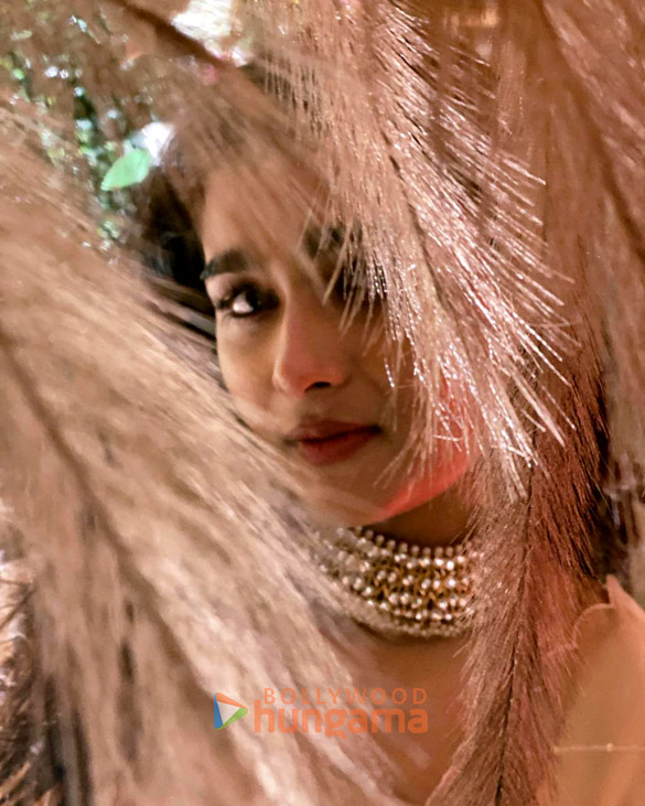 shalini pandey 1 33