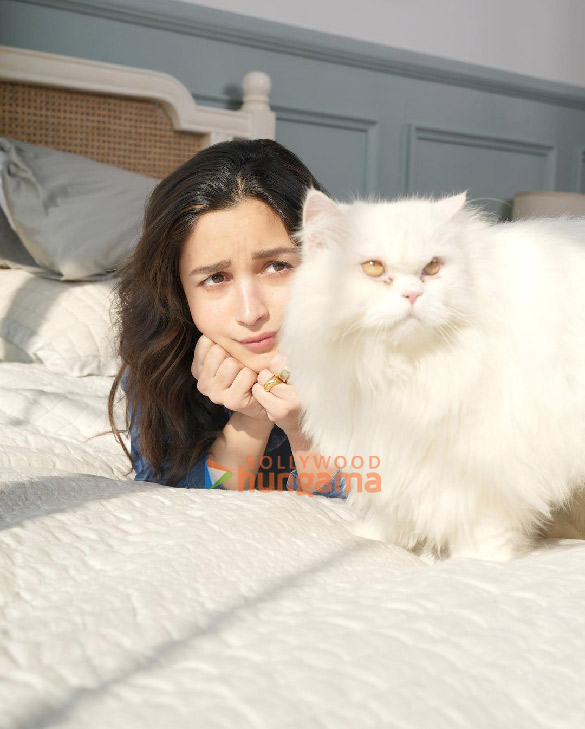 alia bhatt 1 116