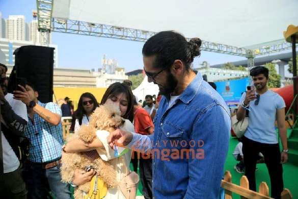 photos dino morea snapped spending time with furry friends at pet fed mumbai 7