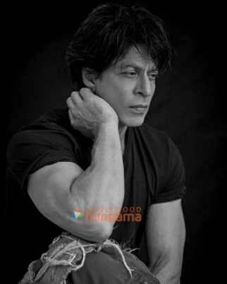 Celeb Photos Of Shah Rukh Khan