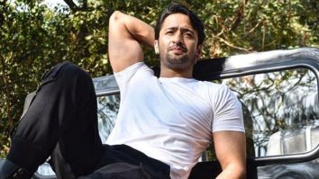 Shaheer Sheikh shows off his entire 3-month body transformation in this reel; fans cannot stop gushing about this video