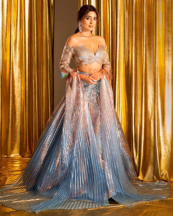 shriya saran 1 29