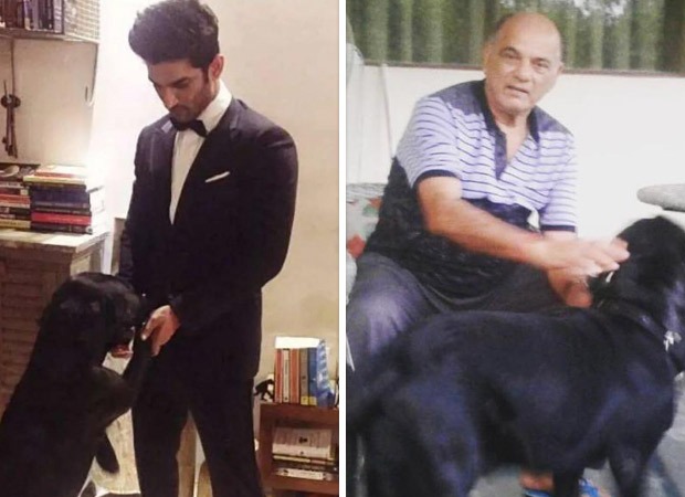 Sushant Singh Rajput’s dog Fudge passes away; his sister Priyanka pens a heartfelt note : Bollywood News