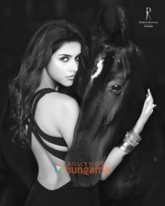 Asin, Filmography, Movies, Asin News, Videos, Songs, Images, Box Office ...