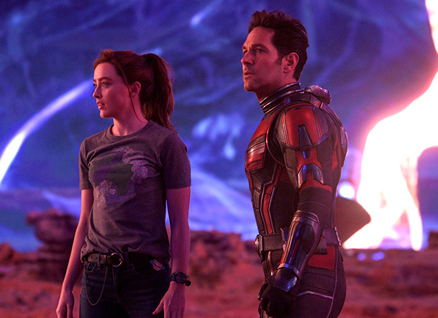 Box Office Ant-Man and the Wasp Quantumania will touch the Rs. 40 crores mark Box Office Ant-Man and the Wasp Quantumania will touch the Rs. 40 crores mark
