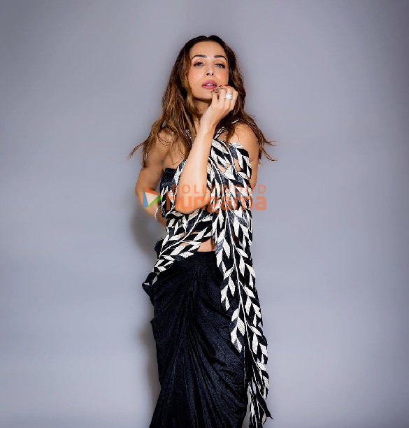 malaika arora 106