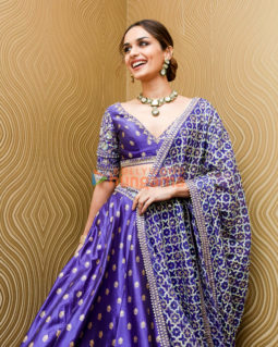 Manushi Chhillar