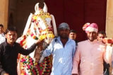 Paps capture a glimpse of the horse that was got for Sidharth & Kiara’s weddding