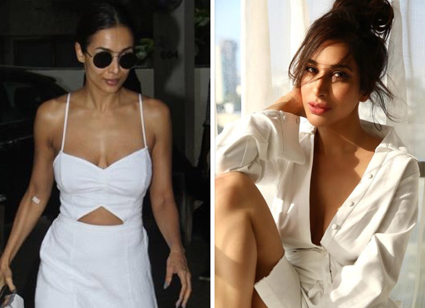 Bollywood divas Malaika Arora and Sophie Choudry swoop into the season of summer with their all-white attires : Bollywood News