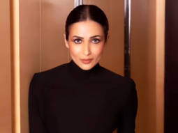 Malaika Arora’s rhinestone hair is totally a look!