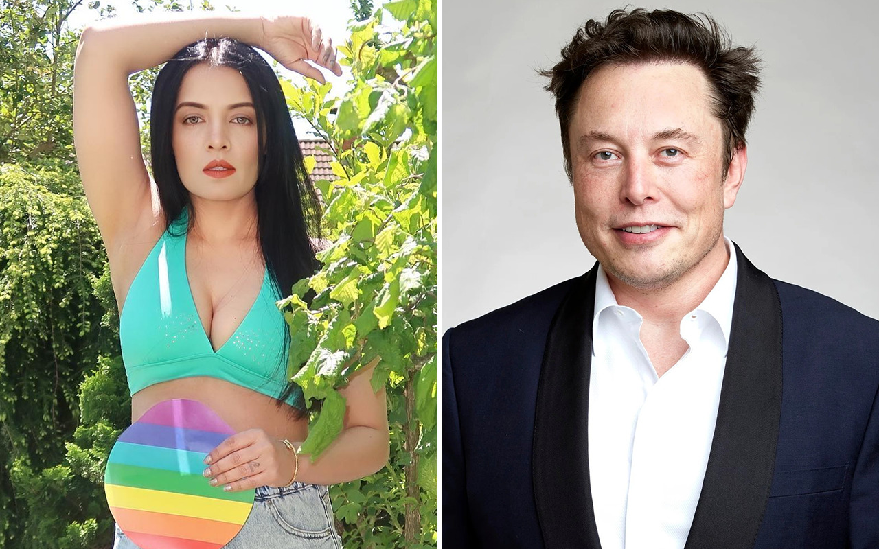 Celina Jaitly requests Elon Musk to provide special blue tick recognition to ‘global icons’ like Amitabh Bachchan; says, “They have made Twitter what it is today”