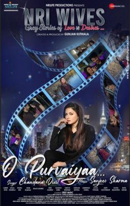 NRI Wives poster