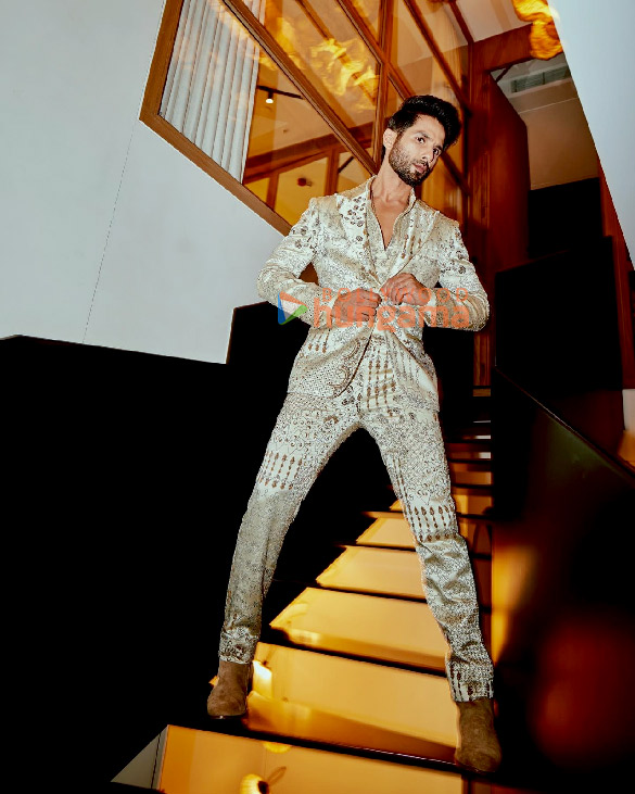 shahid kapoor 1 50