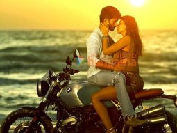 Shahid Kapoor and Kriti Sanon's Next