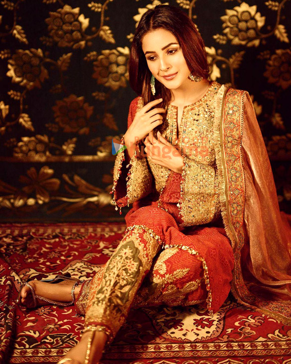 shehnaaz gill 3 31