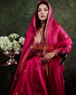Celeb Photos Of Shehnaaz Gill