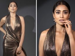Shriya Saran takes the fashion bar a notch higher in bronze metallic gown for Hello! Hall of fame awards