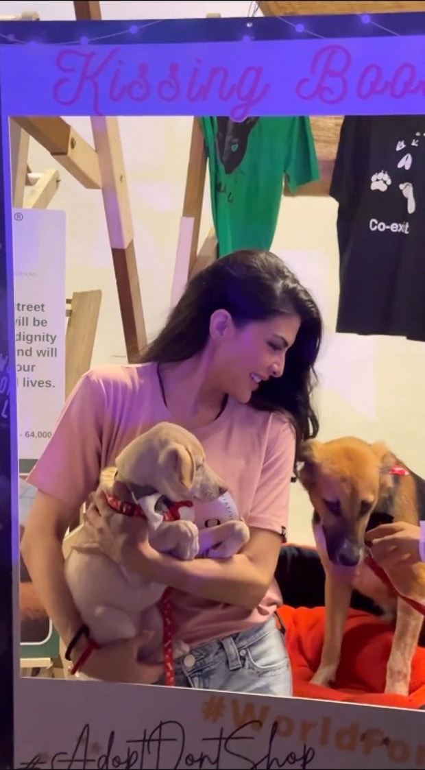 Jacqueline Fernandez’s YOLO foundation takes initiative to help stray animals with sterilisation and adoption