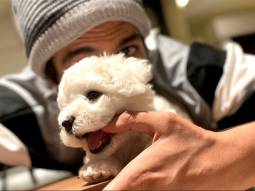 Kartik Aaryan shares an adorable picture with pet Katori; see post
