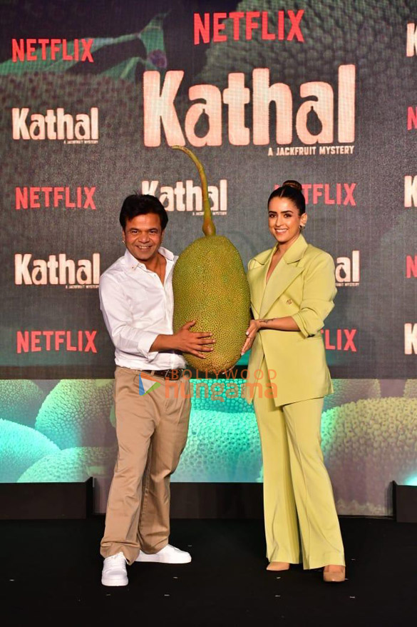 photos celebs grace the trailer launch of kathal 547 4